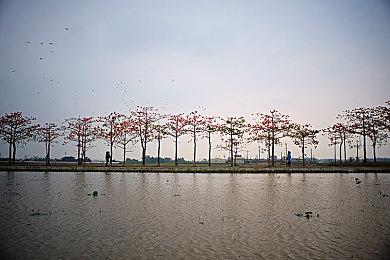 《辐射：新维加斯》MOD让城市还原最初概念设定